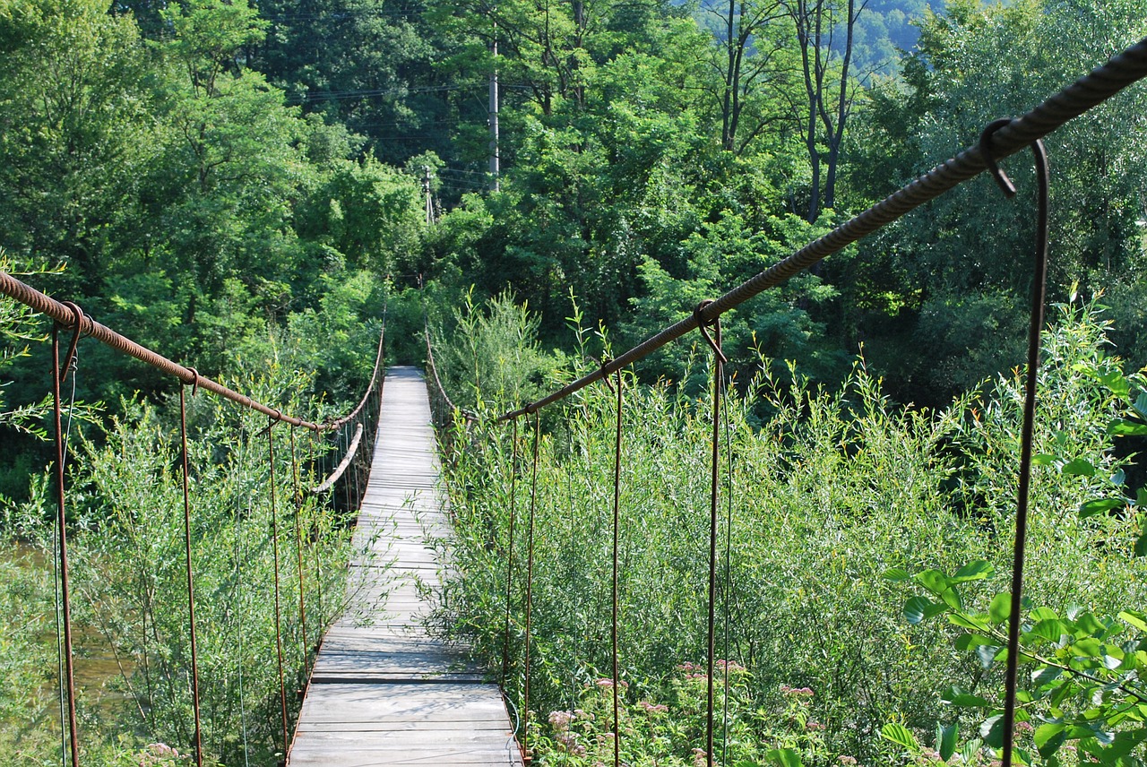 Tiltas, Mažoji Upė, Kabantis Tiltas, Takas, Nemokamos Nuotraukos,  Nemokama Licenzija