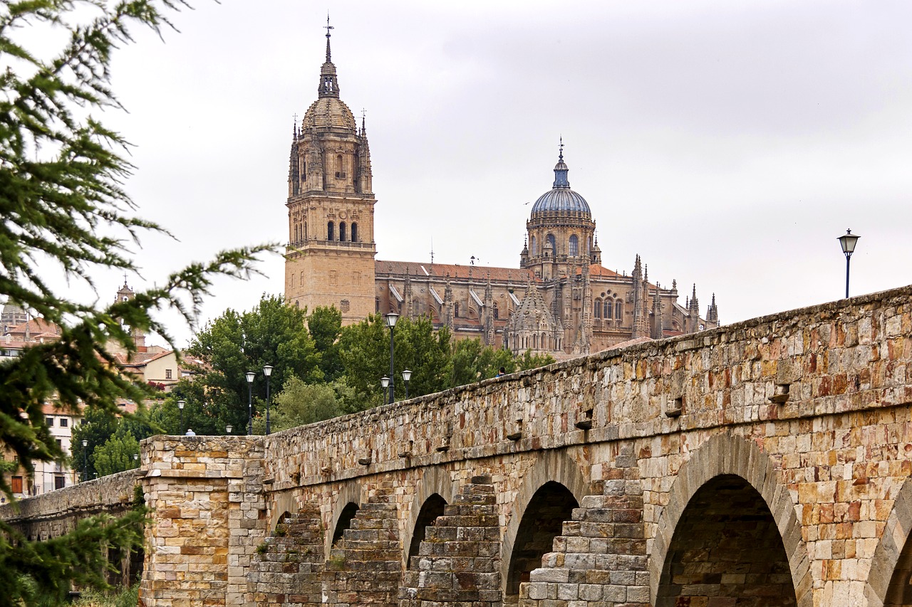 Tiltas,  Katedra,  Architektūra,  Paminklas,  Salamanca, Nemokamos Nuotraukos,  Nemokama Licenzija