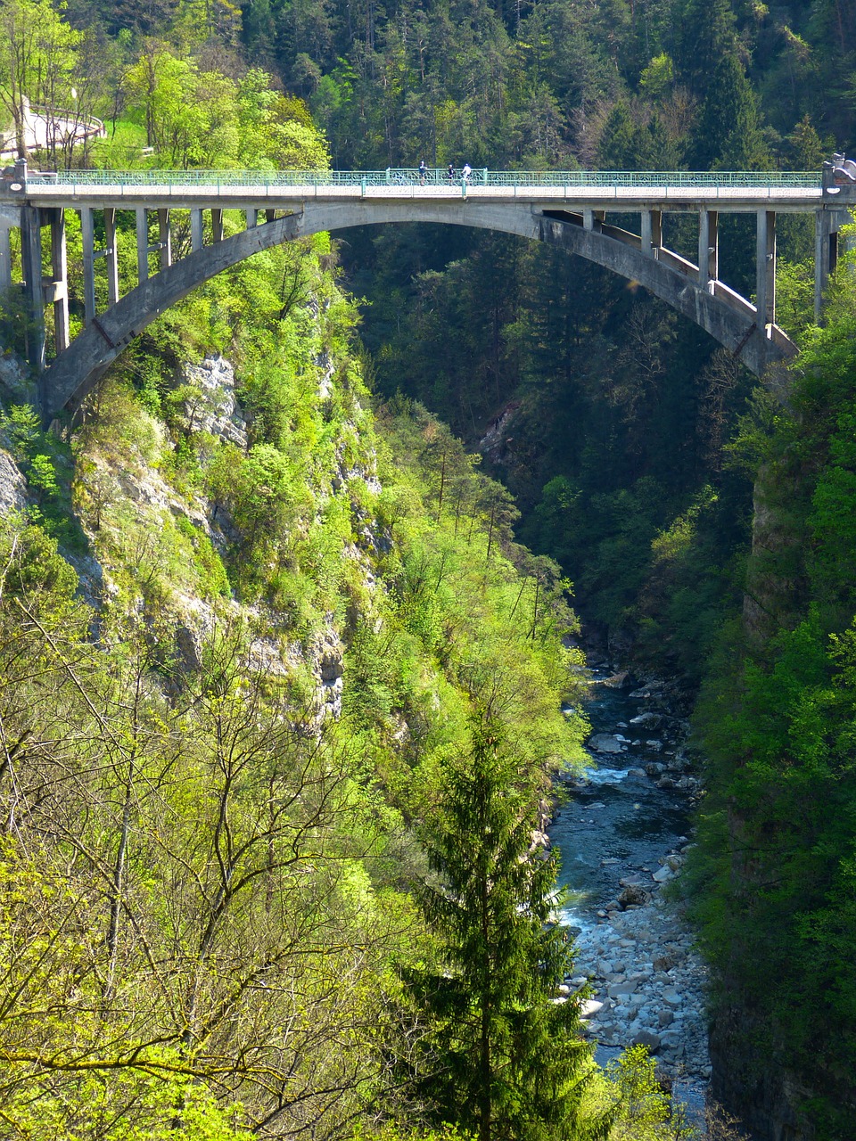 Tiltas, Aukštas, Pavojingas, Gorge, Bedugnė, Miškas, Gamta, Vanduo, Upė, Srautas