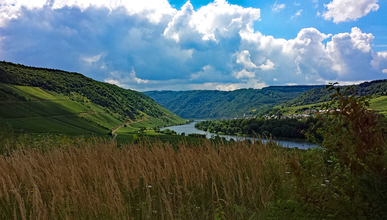 Briedel, Mosel, Sachsen, Vokietija, Vynas, Vynuogynai, Kraštovaizdis, Kaimas, Upė, Šventė