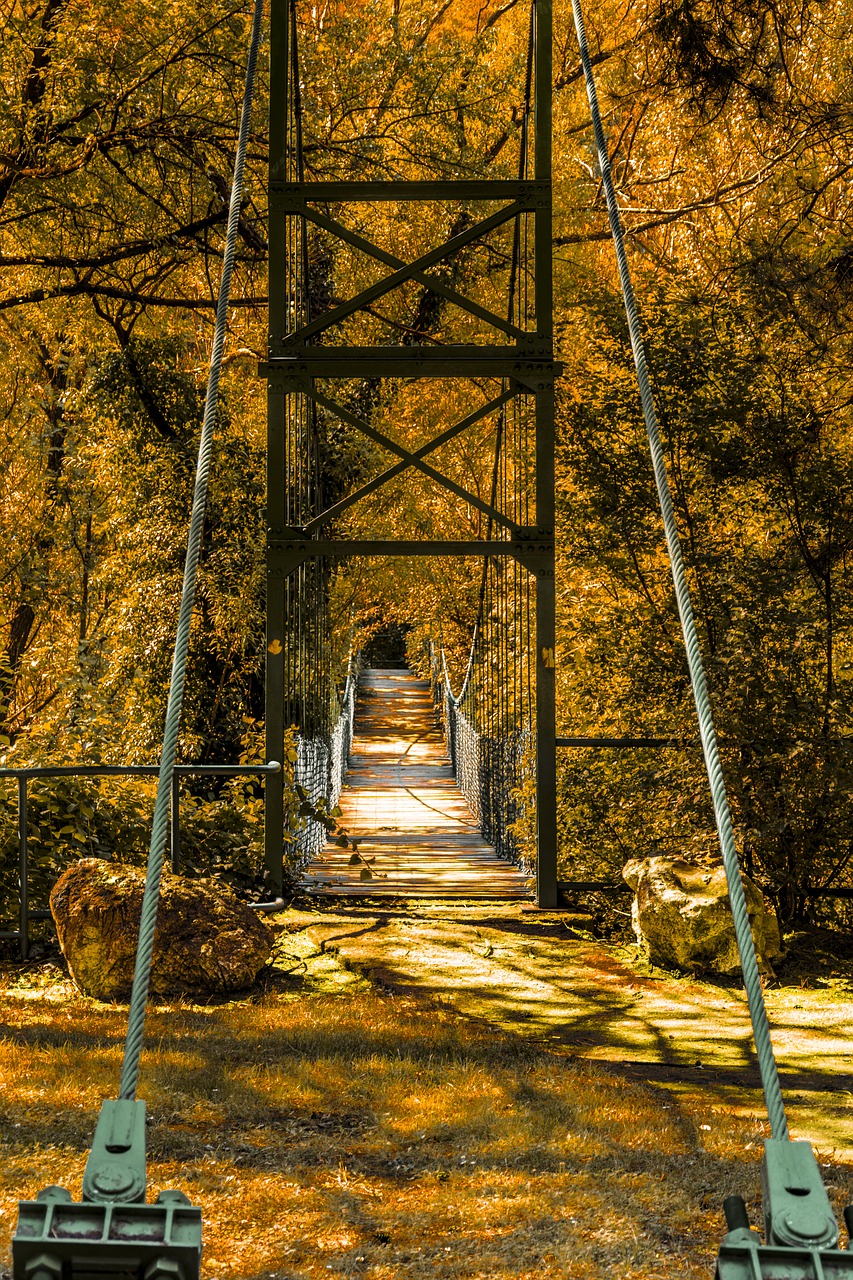 Tiltas, Noras, Fotografija, Oranžinė, Geriausia, Nikon, Kraštovaizdis, Medžiai, Atostogos, Serbija