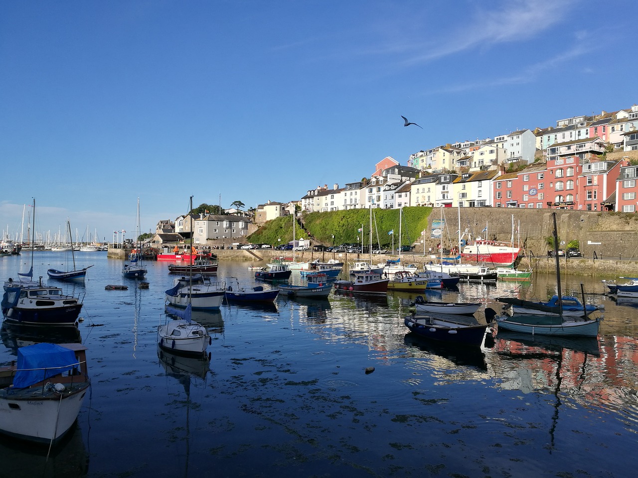 Brixham, Uostas, Devon, Žvejyba, Valtis, Krantinė, Nemokamos Nuotraukos,  Nemokama Licenzija