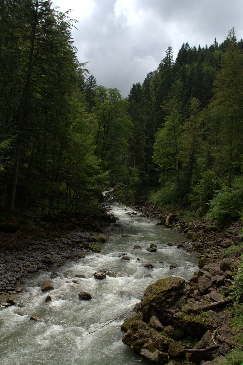 Plataus Paviršiaus Raguotas, Allgäu, Clam, Platieji Upeliai, Kleinwalsertal, Upė, Bachas, Rokas, Akmenys, Gamta