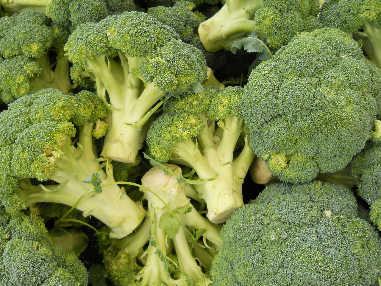 Brokoliai, Žalias, Maistas, Sveikas, Valgymas, Vegetariškas, Daržovių, Šviežias, Ekologiškas, Mityba