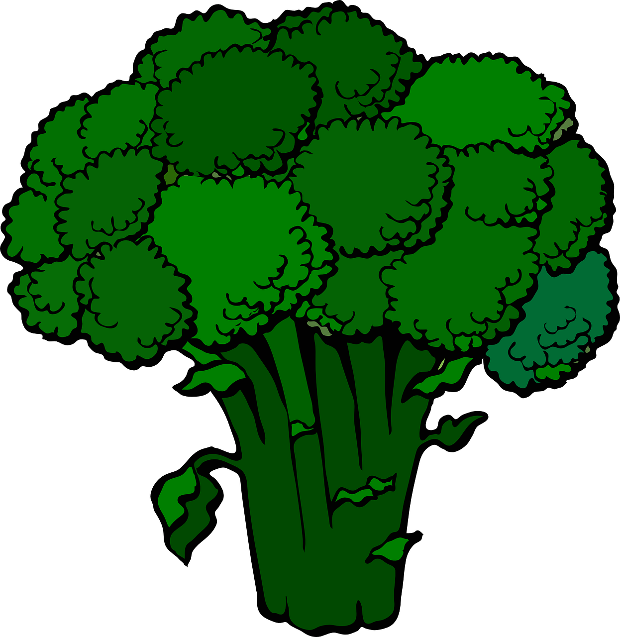 Brokoliai, Žalias, Šviežias, Maistas, Daržovių, Nemokama Vektorinė Grafika, Nemokamos Nuotraukos,  Nemokama Licenzija