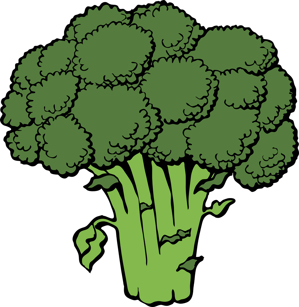 Brokoliai, Krūva, Galva, Žalias, Kryžmažiški, Sveikas, Šviežias, Žaliavinis, Daržovių, Maistas