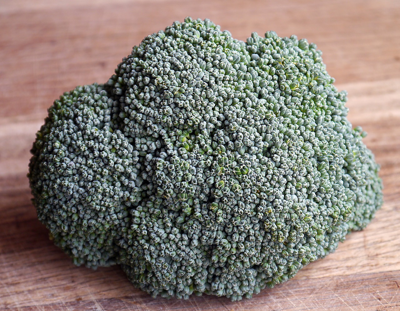 Brokoliai, Daržovių, Maistas, Sveikas, Brokoliai, Ingredientas, Mityba, Šviežumas, Natūralus, Brokoliai