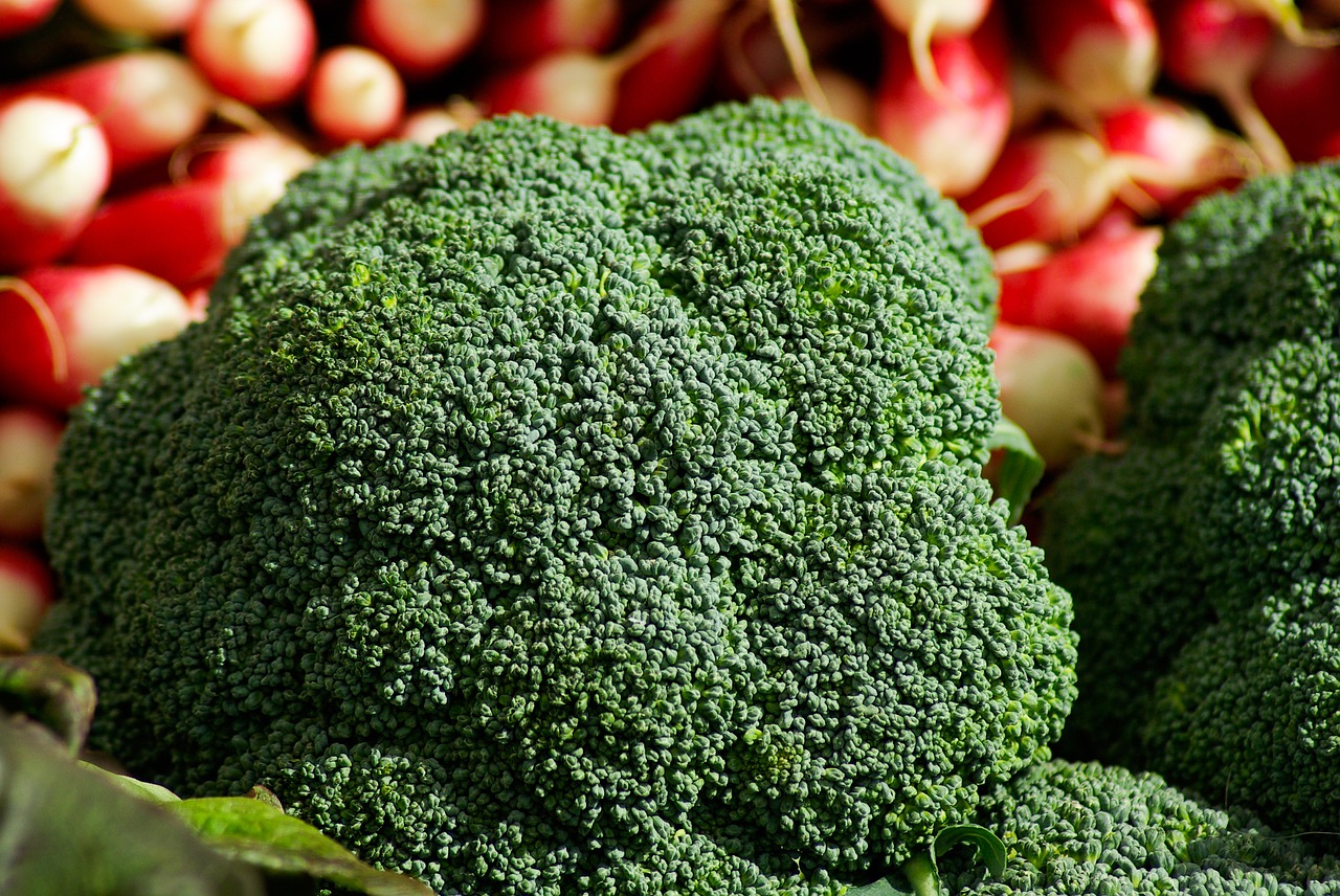 Brokoliai, Ridikėliai, Daržovės, Sodininkystė, Vitaminai, Nemokamos Nuotraukos,  Nemokama Licenzija