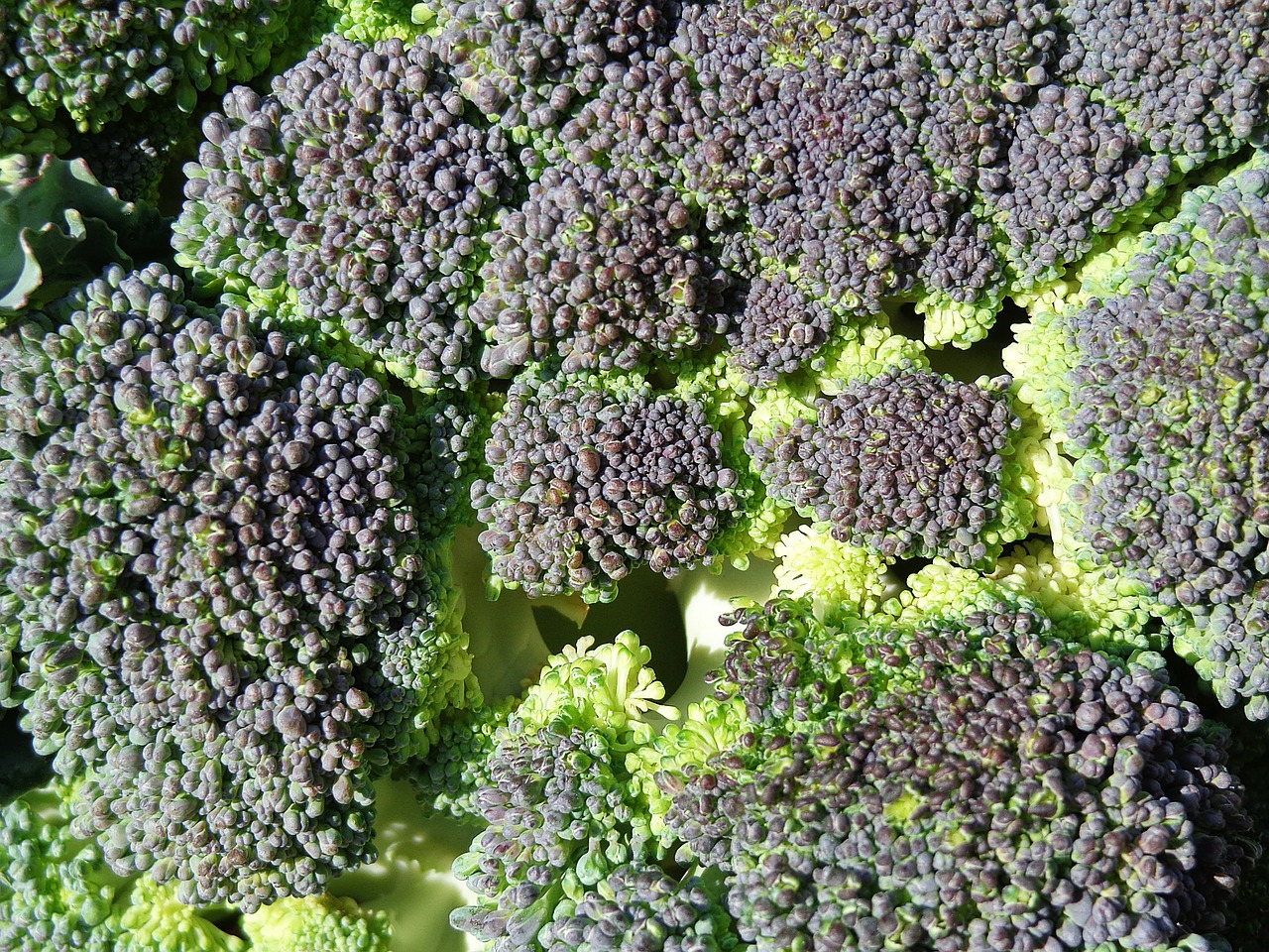 Brokoliai, Daržovės, Maistas, Valgymas, Augalas, Sveikas Maistas, Sveikai Maitintis, Sveikas, Šviežias, Natūralus Maistas