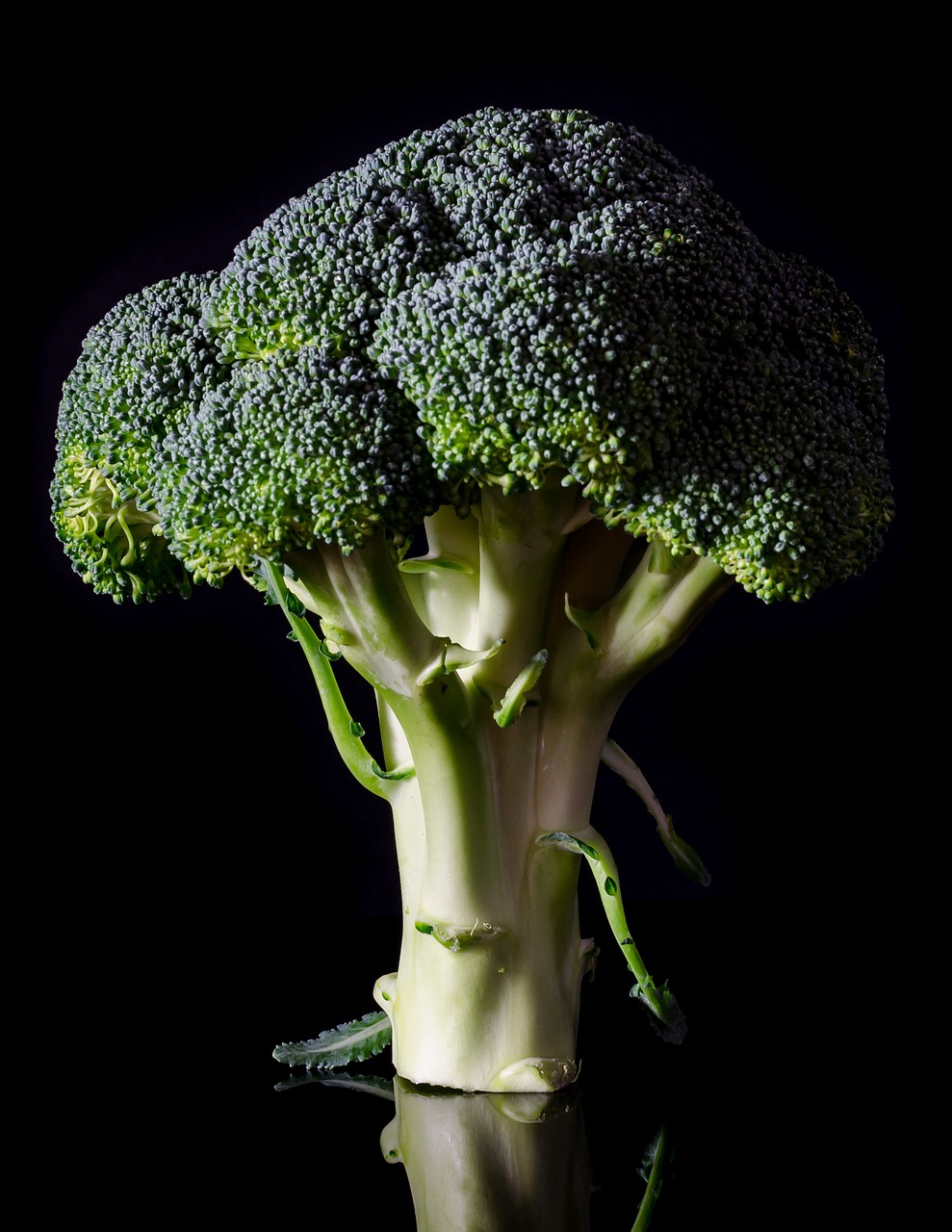Brokoliai, Šviežias, Maistas, Sveikas, Daržovių, Mityba, Žalias, Vegetariškas, Šviežios Daržovės, Žaliavinis
