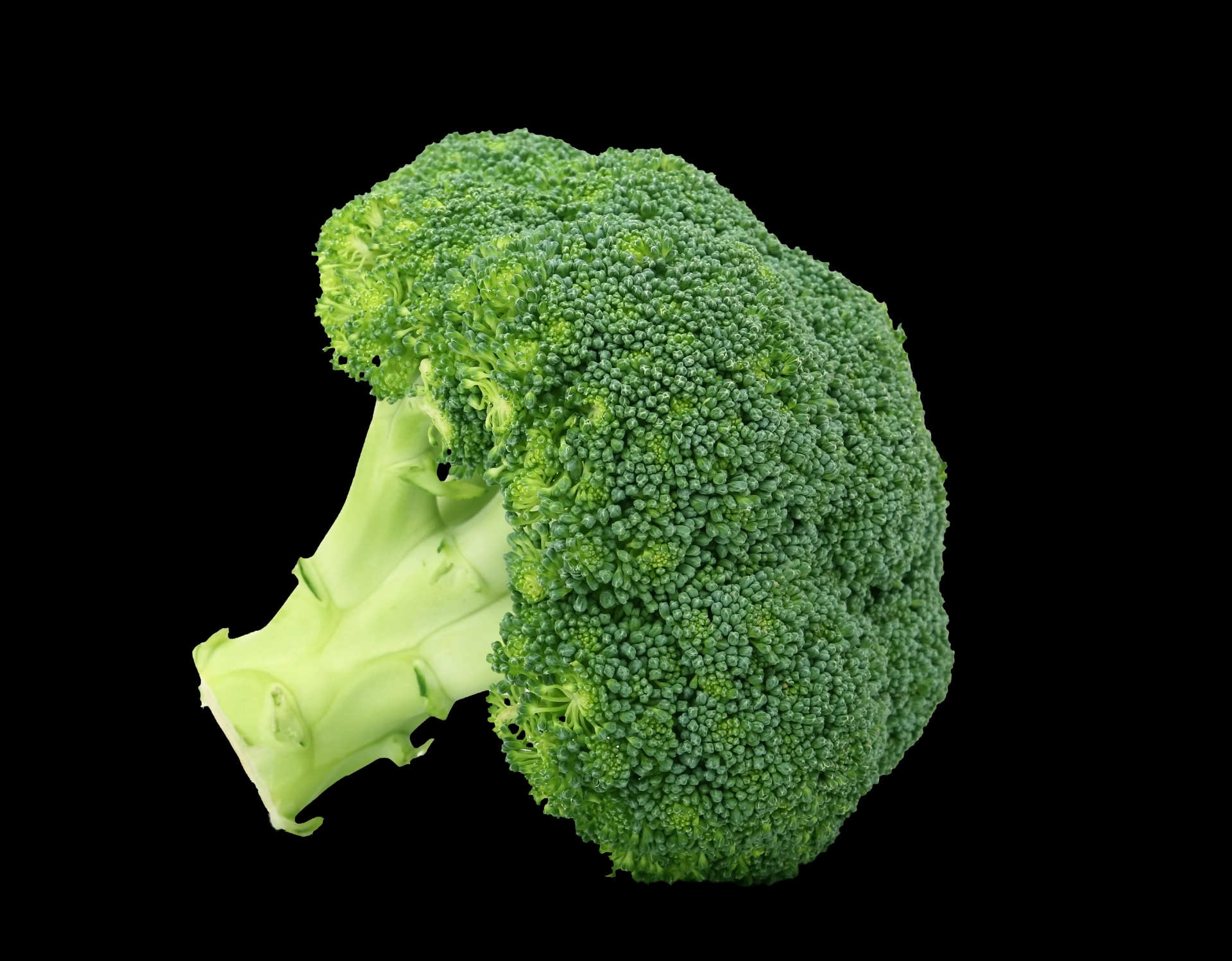 Brokoliai,  Daržovių,  Žalias,  Maistas,  Sveikas,  Sveikata & Nbsp,  Maistas,  Maistingas,  Mityba,  Izoliuotas
