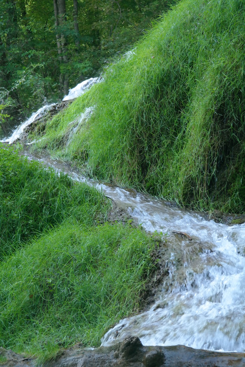 Srautas, Vanduo, Srautas, Murmur, Puikus Upelis, Idiliškas, Žalias, Haunting, Samanos, Samanos