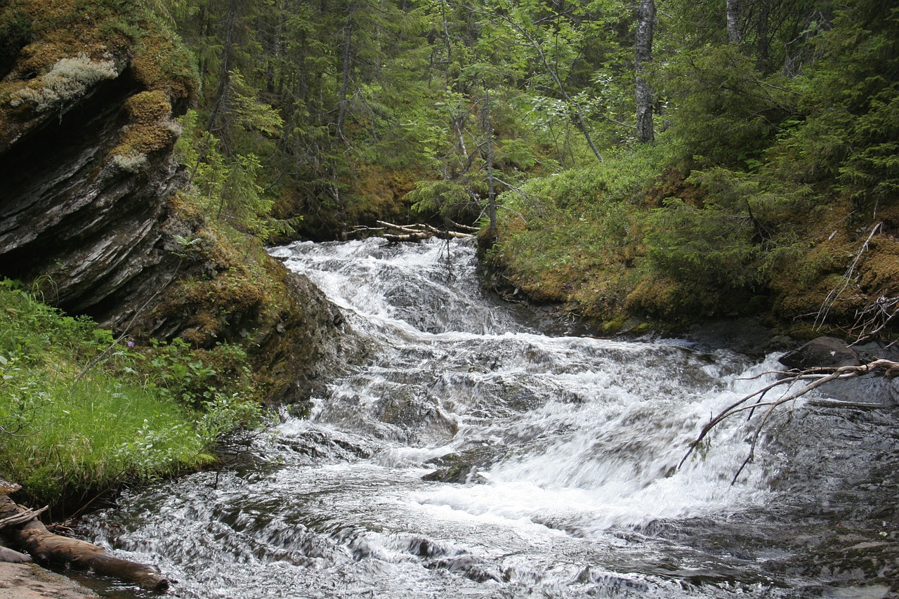 Srautas, Miškas, Ilgas Užrakto Greitis, Jämtland, Švedija, Upės Srovė, Vandens Srovė, Žalias, Gamta, Nemokamos Nuotraukos