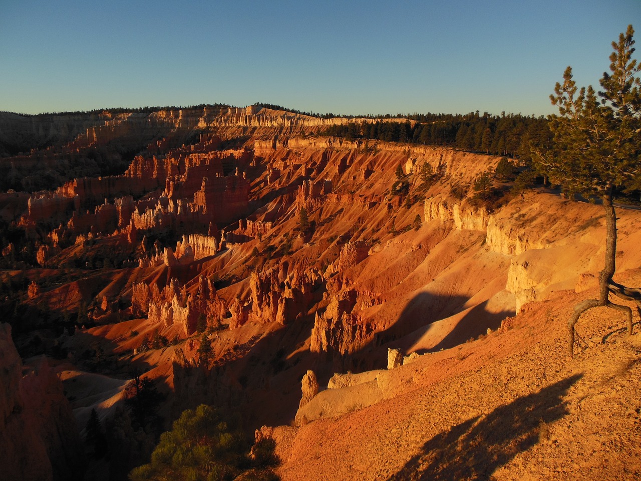 Bryce Kanjonas, Nacionalinis Parkas, Saulėtekis, Usa, Jungtinės Valstijos, Gamta, Smiltainio Formacijos, Kraštovaizdis, Geologinės Formacijos, Nemokamos Nuotraukos