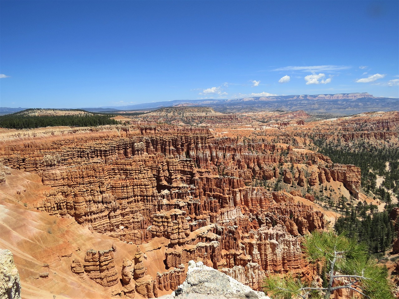 Bryce Kanjonas, Utah, Žygiai, Raudonasis Smiltainis, Mėlynas Dangus, Nemokamos Nuotraukos,  Nemokama Licenzija