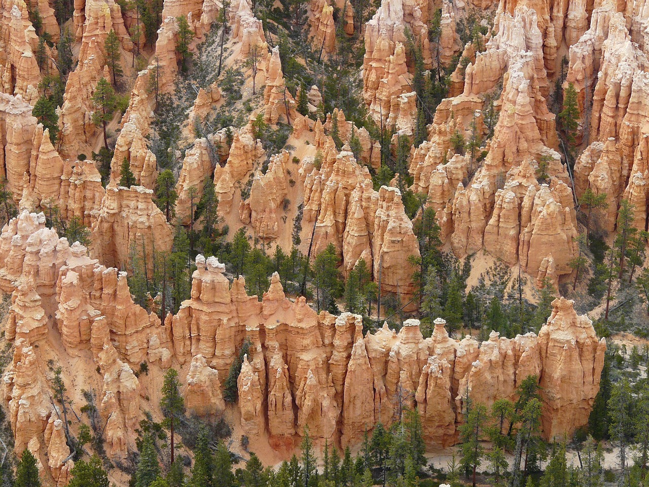 Bryce Kanjonas, Bryce Canyon Nacionalinis Parkas, Utah, Jungtinės Valstijos, Usa, Gorge, Smėlio Akmuo, Piramidės Uola, Hoodoo, Paunsaugutos Plokščiakalnis