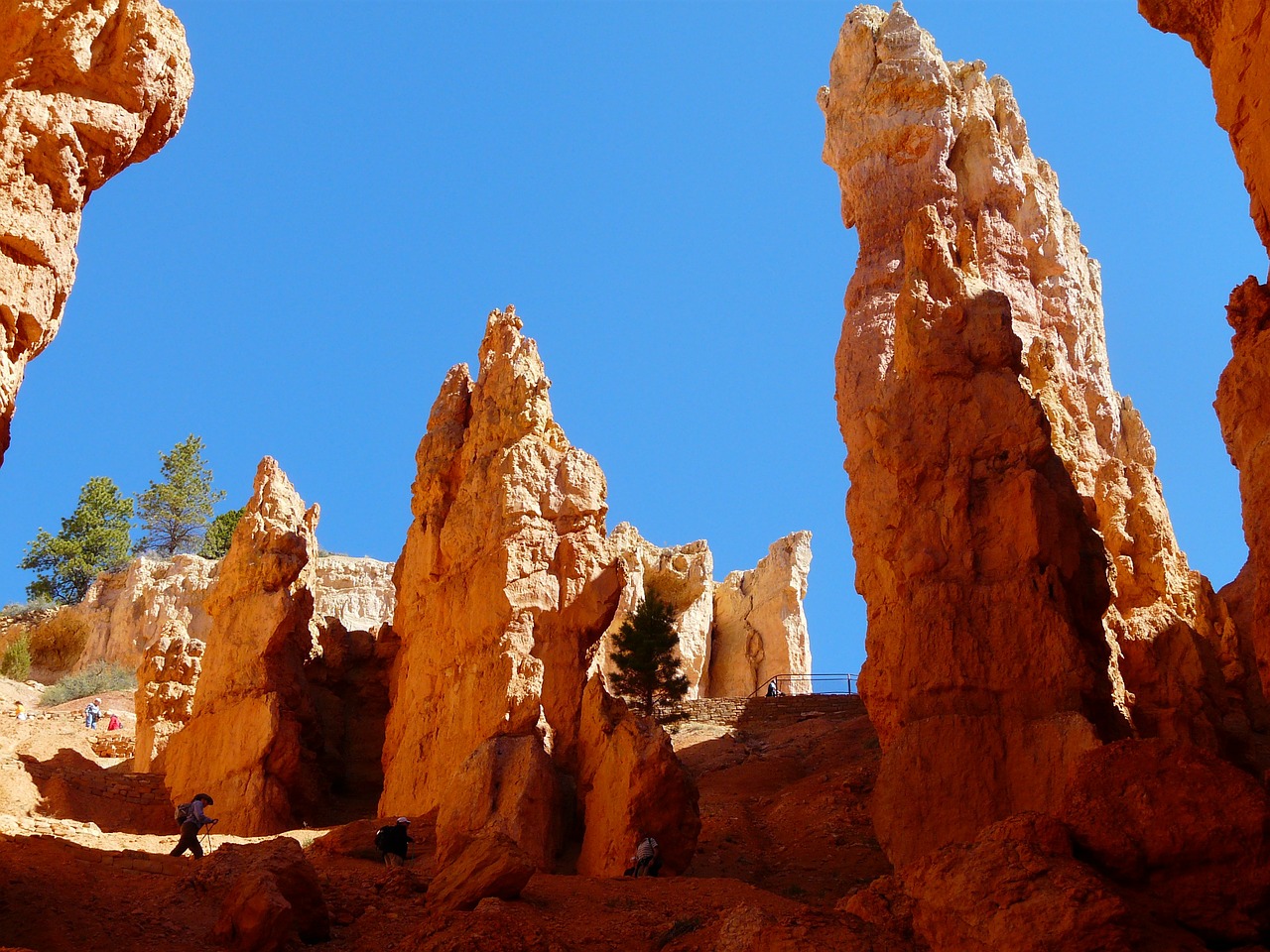 Bryce Kanjonas, Bryce Canyon Nacionalinis Parkas, Utah, Jungtinės Valstijos, Usa, Gorge, Smėlio Akmuo, Piramidės Uola, Hoodoo, Paunsaugutos Plokščiakalnis
