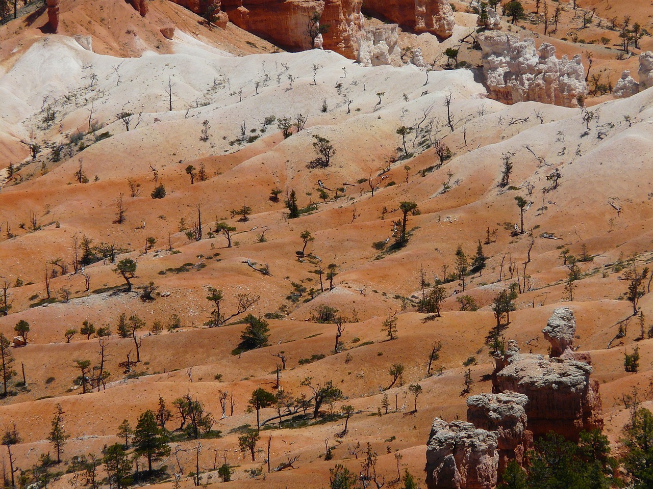 Bryce Kanjonas, Bryce Canyon Nacionalinis Parkas, Utah, Jungtinės Valstijos, Usa, Smėlio Akmuo, Paunsaugutos Plokščiakalnis, Paunsaugunt, Erozija, Erozijos Formos