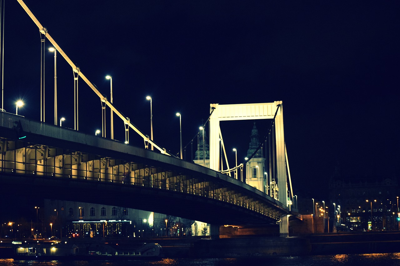 Budapest, Tiltas, Elizabetinio Tilto, Naktį, Nemokamos Nuotraukos,  Nemokama Licenzija