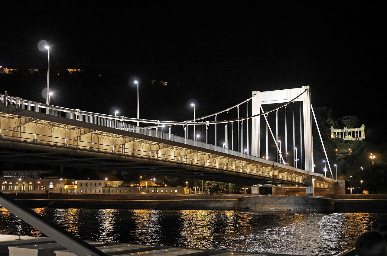 Budapest Naktį, Elizabeth Tiltas, Gelerto Monumentas, Gelert Kalnas, Citadelė, Apšviestas, Danube, Vengrija, Kapitalas, Laivo Eismas