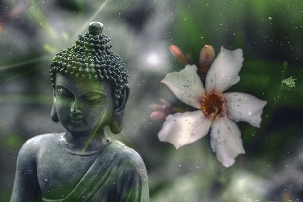 Buda, Gėlė, Budizmas, Religija, Meditacija, Tikėjimas, Budistinis, Religinis, Dvasinis, Taika
