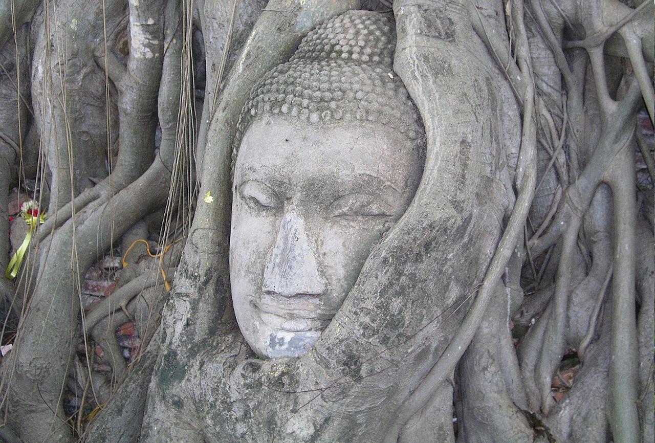 Buda, Mistiškas Medis, Bangkok Keliones, Turizmas, Garbinti Medį, Sugalvok Norą, Religija, Budistinis, Dvasinis Medis, Mistikas