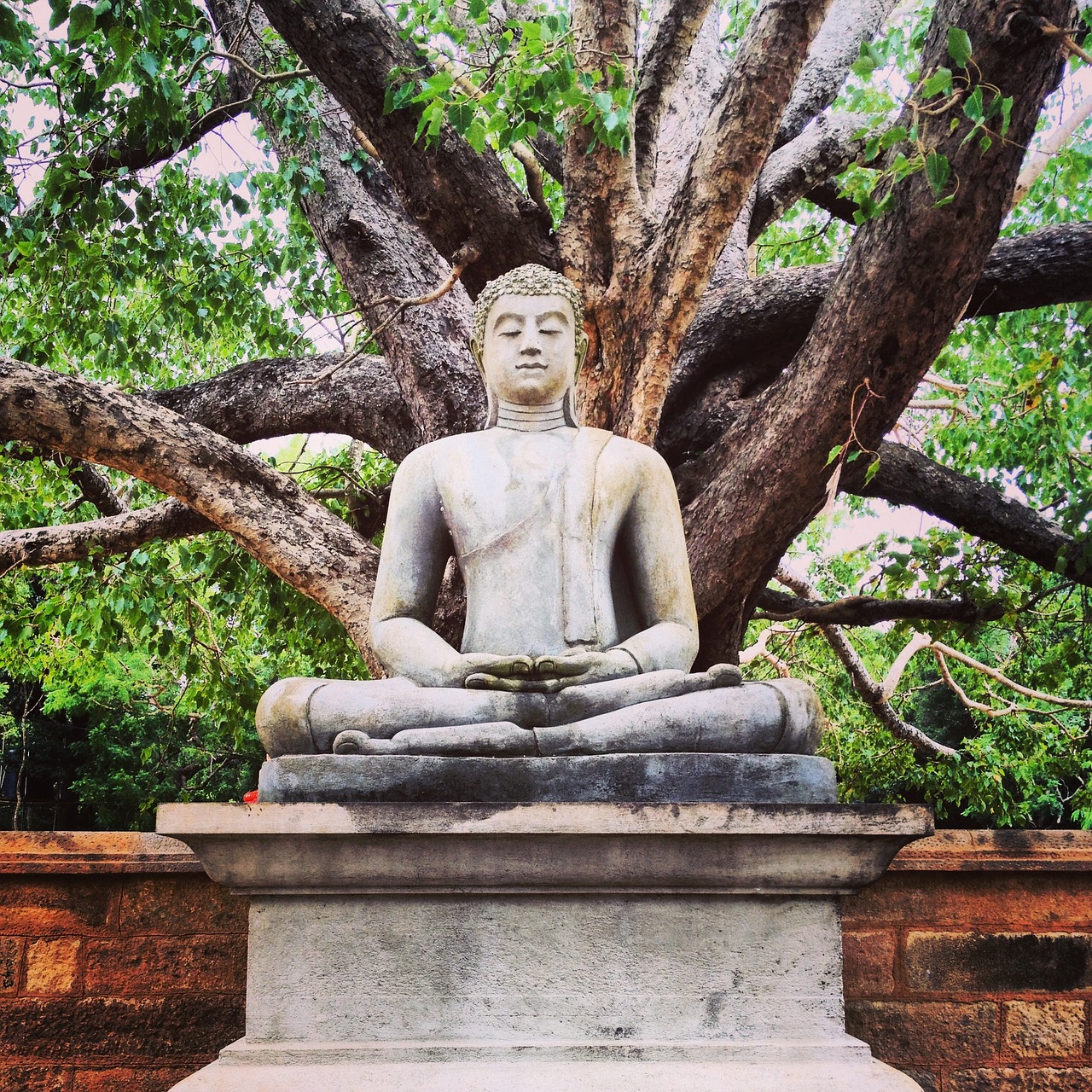Buda, Šri Lanka, Kultūra, Budizmas, Budistinis, Senovės, Reliktas, Ramus, Meditacija, Šventykla
