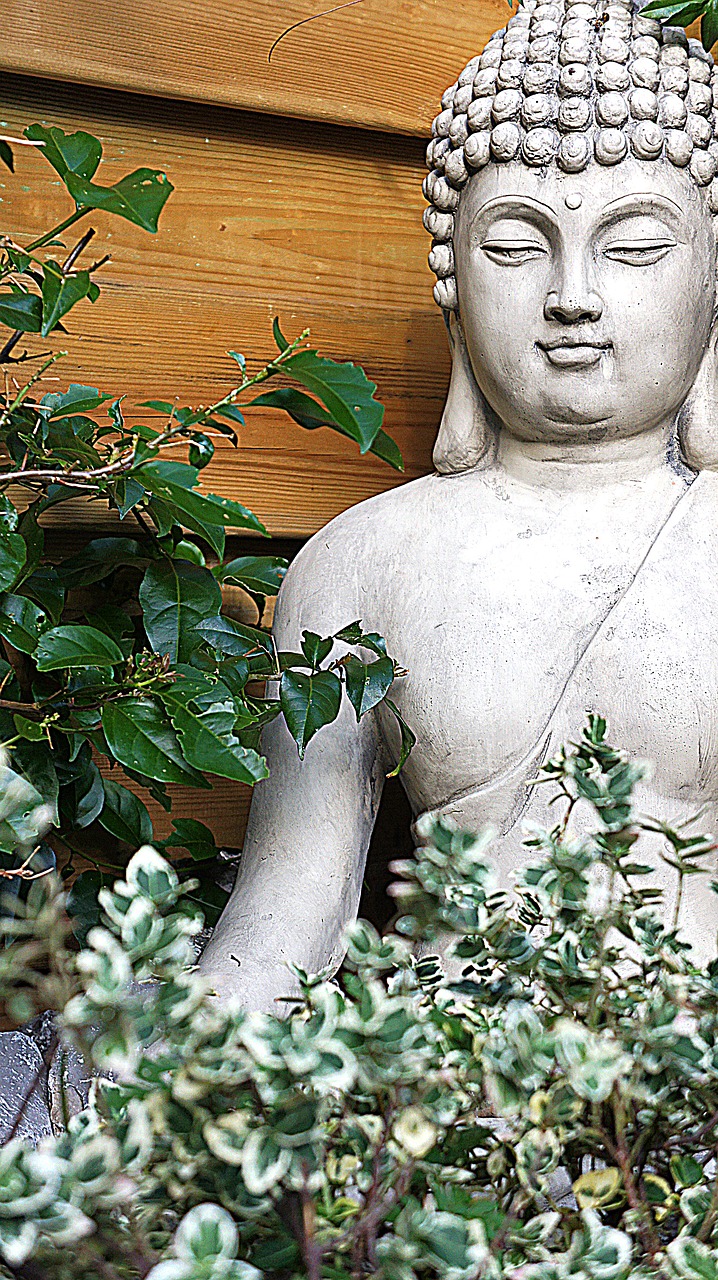 Buda, Budos Statula, Sodas, Dvasingumas, Poilsis, Religija, Statula, Sėdi, Meditacija, Zen