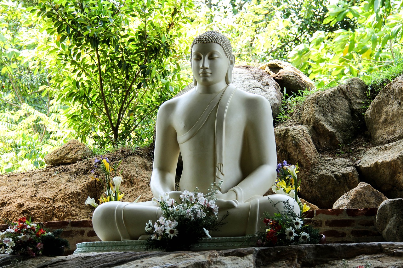 Buda, Šri Lanka, Mahamevnawa, Nemokamos Nuotraukos,  Nemokama Licenzija