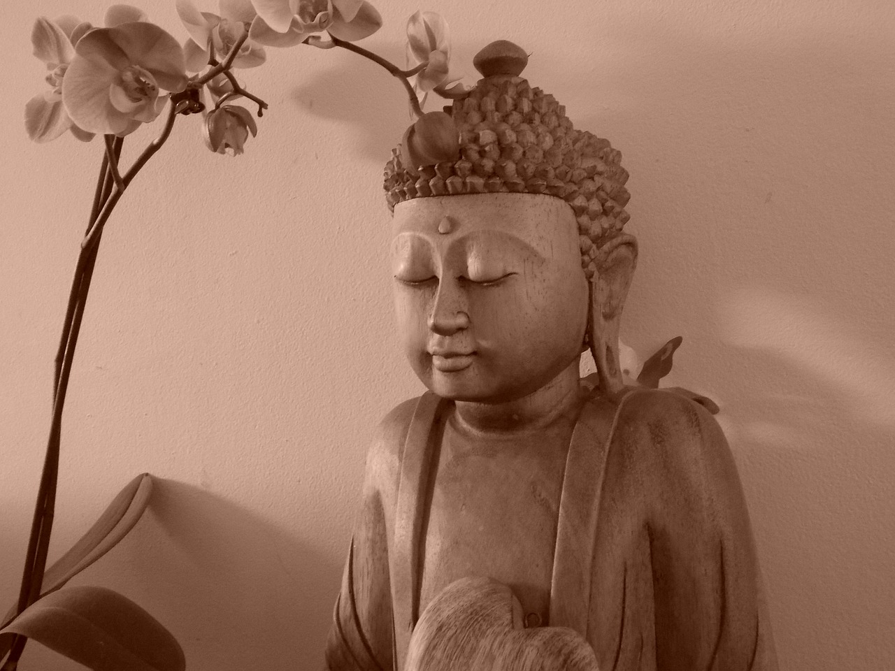 Buda, Taika, Ramybė, Nemokamos Nuotraukos,  Nemokama Licenzija