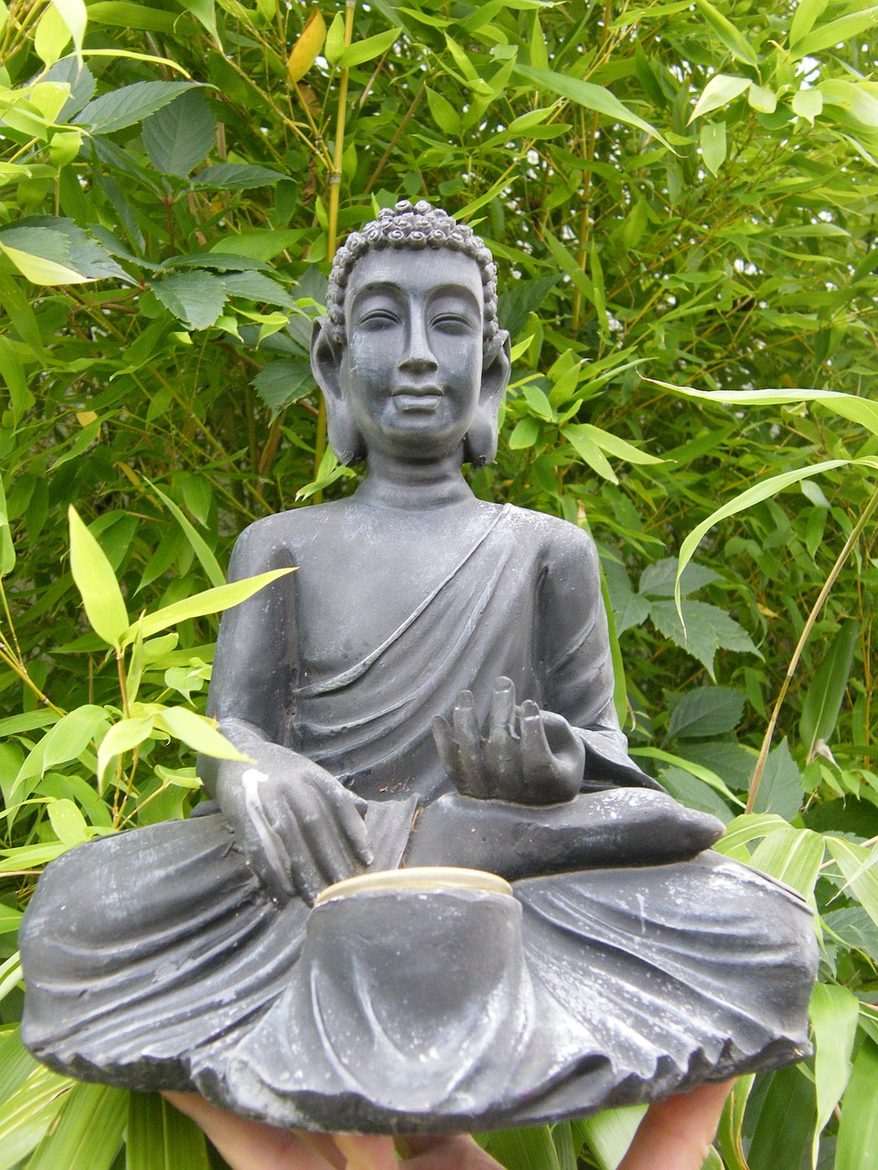 Buda, Bambukas, Sėdėti, Nemokamos Nuotraukos,  Nemokama Licenzija