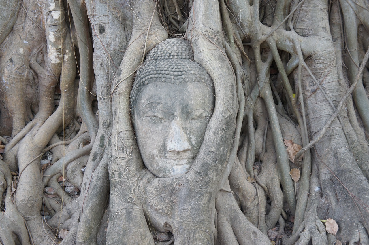 Buda, Budizmas, Tailandas, Nemokamos Nuotraukos,  Nemokama Licenzija