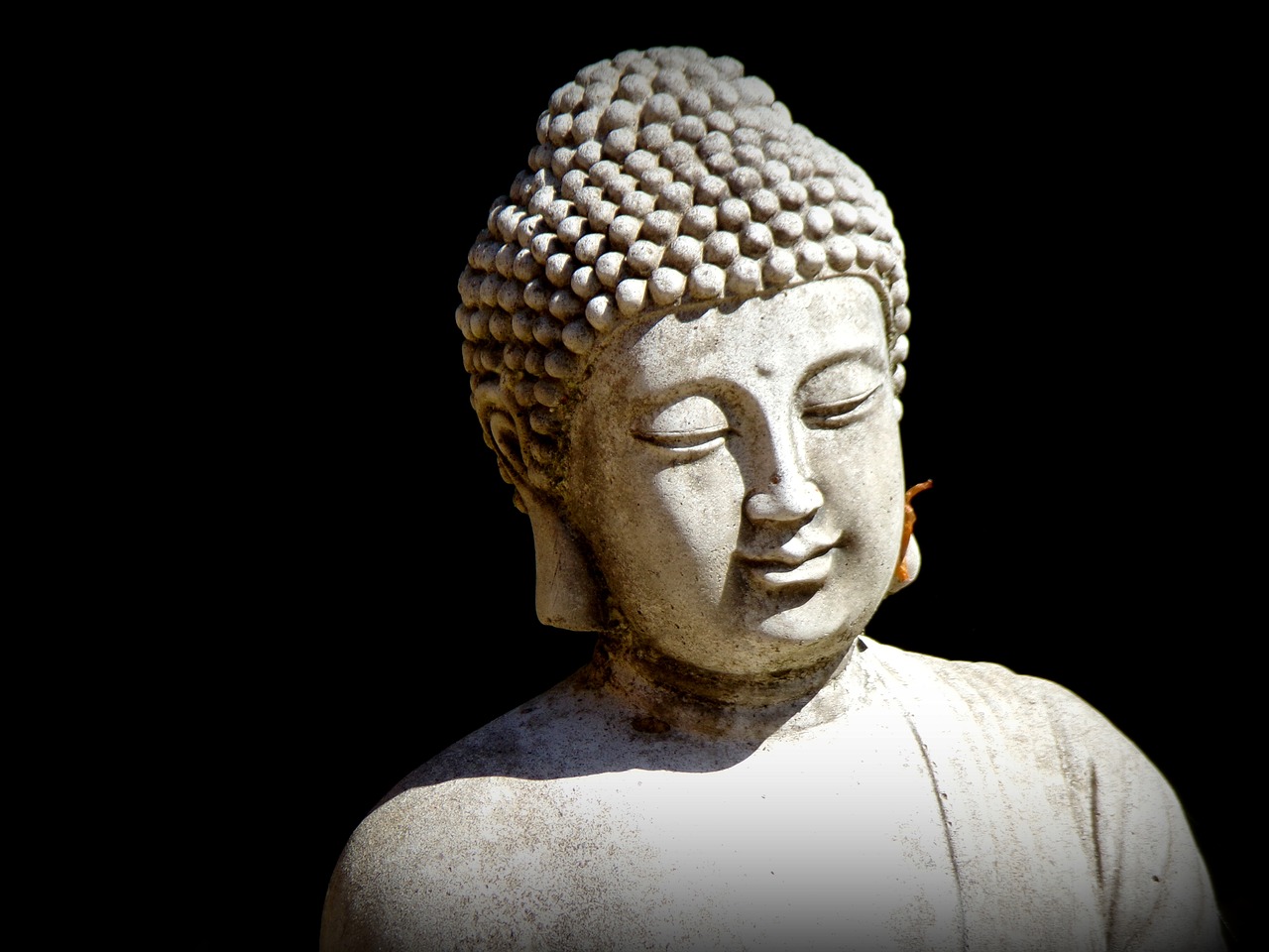 Buda,  Zen,  Meditacija,  Statula,  Veidas,  Serenity,  Atsipalaidavimas,  Ramybė,  Išmintis,  Budistų