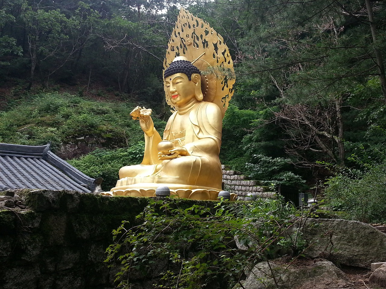 Buda, Korėja, Išmintis, Asian, Statula, Asija, Budizmas, Religija, Kalnas, Auksas