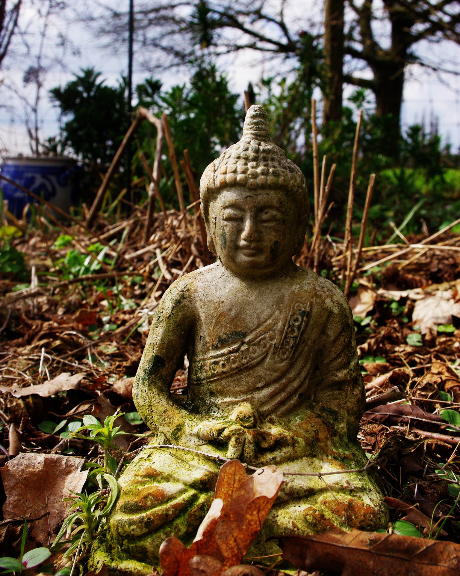 Buda,  Meditacija,  Gamta,  Lauke,  Lapai,  Zen,  Budimas Medituojantis, Nemokamos Nuotraukos,  Nemokama Licenzija