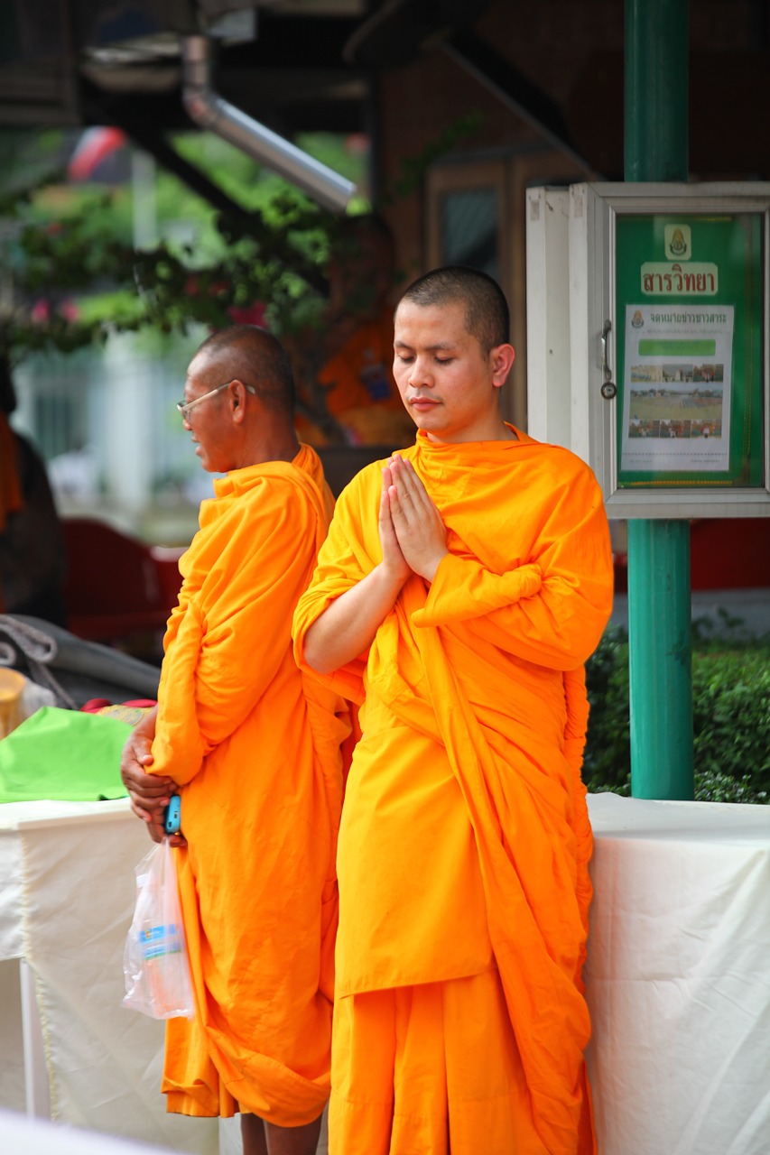 Budistams, Vienuoliai, Oranžinė, Drabužiai, Ceremonija, Konvencija, Susitikimas, Medituojantis, Žmonės, Meditacija