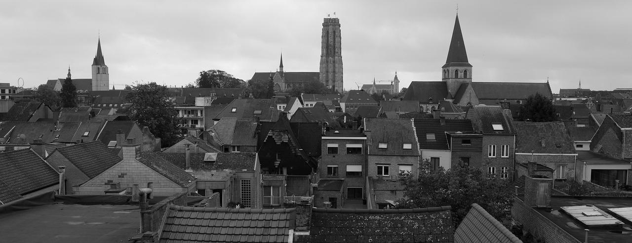 Pastatai, Mechelen, Bažnyčia, Architektūra, St Rombouts Katedra, Bokštas, Saint Rombautstoren, Vaizdas, Miestas, Panorama
