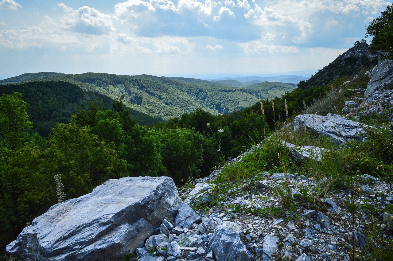 Bükk, Akmuo, Rokas, Miškas, Kalnas, Vasara, Kraštovaizdis, Gamta, Lauke, Natūralus