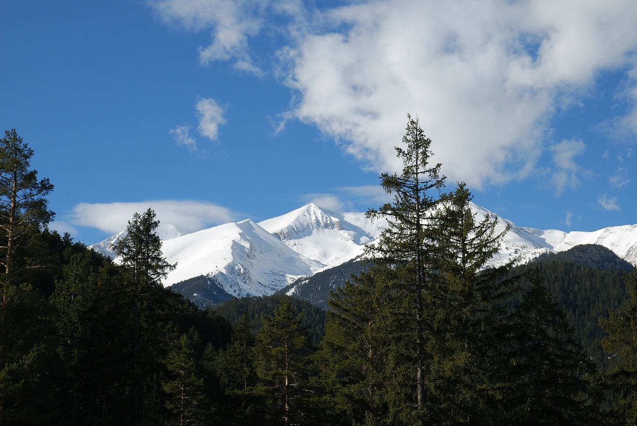 Bulgarija, Pirin Kalnai, Pavasaris, Gamta, Medžiai, Sniegas, Nemokamos Nuotraukos,  Nemokama Licenzija