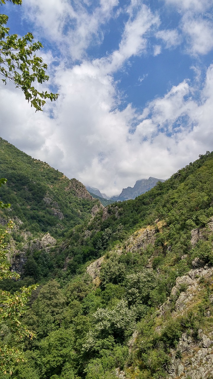 Bulgarija, Balta Upė, Ekologinis Takas, Gamta, Nemokamos Nuotraukos,  Nemokama Licenzija