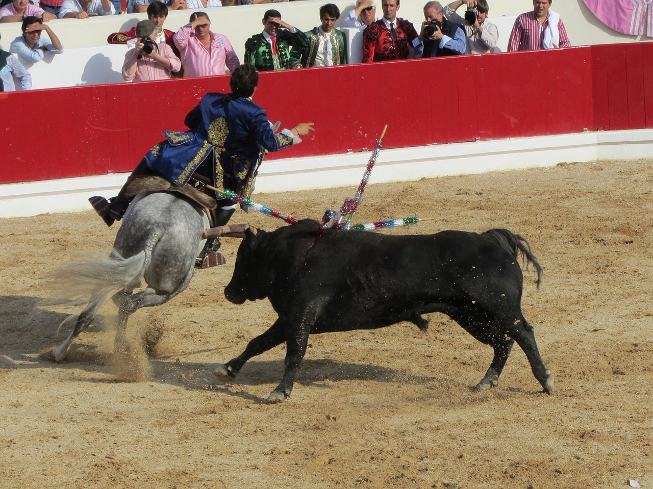 Bulių Kovos, Torero, Portugal, Bokštas, Nemokamos Nuotraukos,  Nemokama Licenzija