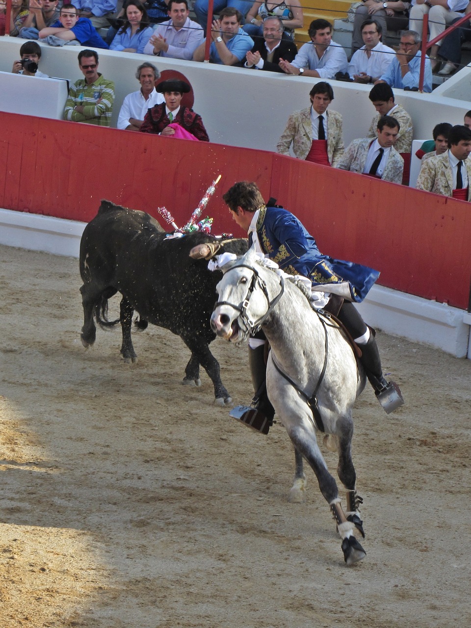 Bulių Kovos, Torero, Portugal, Bokštas, Nemokamos Nuotraukos,  Nemokama Licenzija