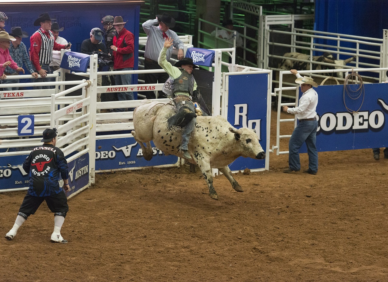 Berniukas, Kaubojus, Raitelis, Bucking, Rodeo, Rangas, Ragai, Arena, Valdyti, Lynai