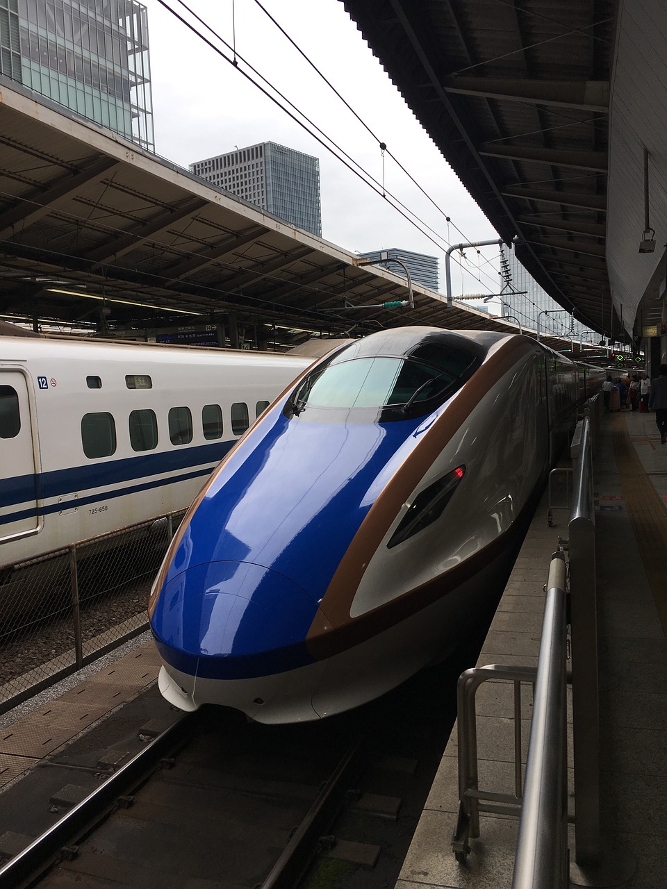Kulkų Traukinys, E7 · W7, Hokuriku Shinkansen, Jr Rytus, Jr Vakarų, Tokijo Stotis, Nemokamos Nuotraukos,  Nemokama Licenzija