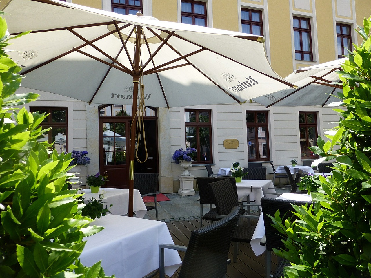 Bülow Palais, Terasa, Karališkas Kelias, Baroko Kvartalas, Prabangus Viešbutis, Bistro, Gastronomija, Kavinė, Drezdenas, Nemokamos Nuotraukos