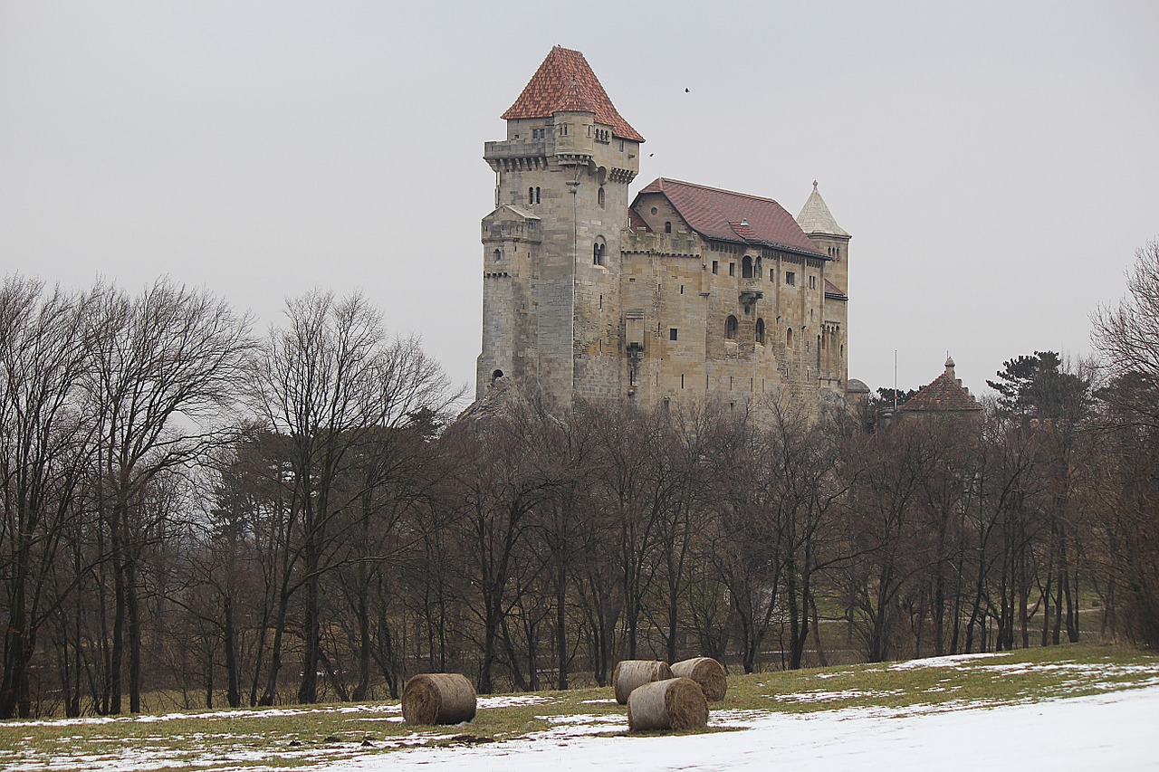 Burg Lichtenstein, Pilis, Lichtenšteinas, Viduramžiai, Riterio Pilis, Mödling, Nemokamos Nuotraukos,  Nemokama Licenzija