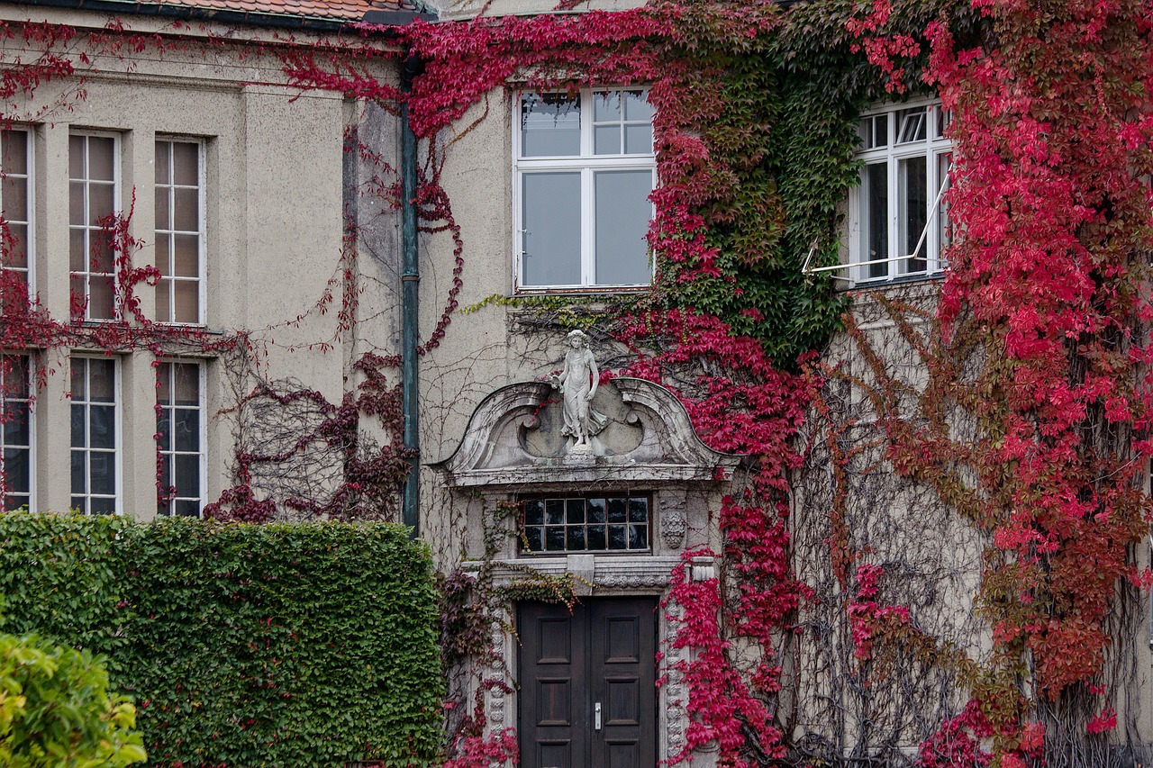 Burgerio Namas, Art Nouveau, Architektūra, 1900, Raudona, Vyno Partneris, Lapai, Ruduo, Kritimo Lapija, Fasadas