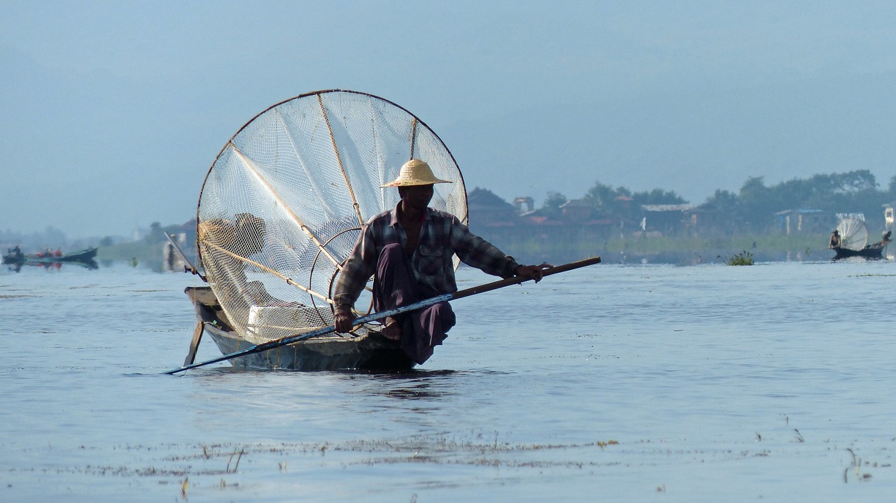 Burma, Ežeras, Ežero Inle, Nusidėjėlis, Žuvis, Mianmaras, Valtis, Kraštovaizdis, Nemokamos Nuotraukos,  Nemokama Licenzija