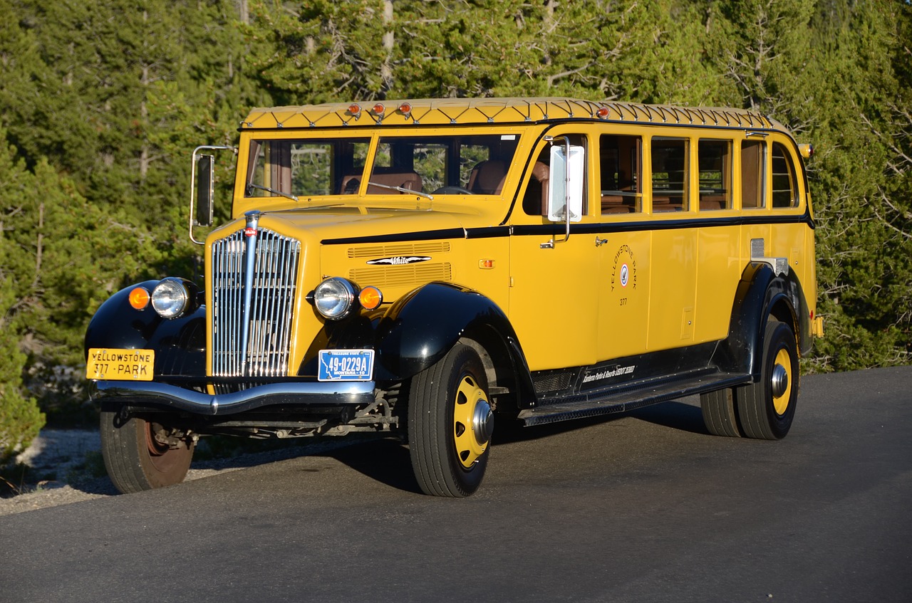 Autobusas, Geltonas Akmuo, Jammer, Nacionalinis Parkas, Vajomingas, Yellowstone Kelionių Autobusas, Vintage, Balta, Geltona, Geltonojo Akmens Nacionalinis Parkas