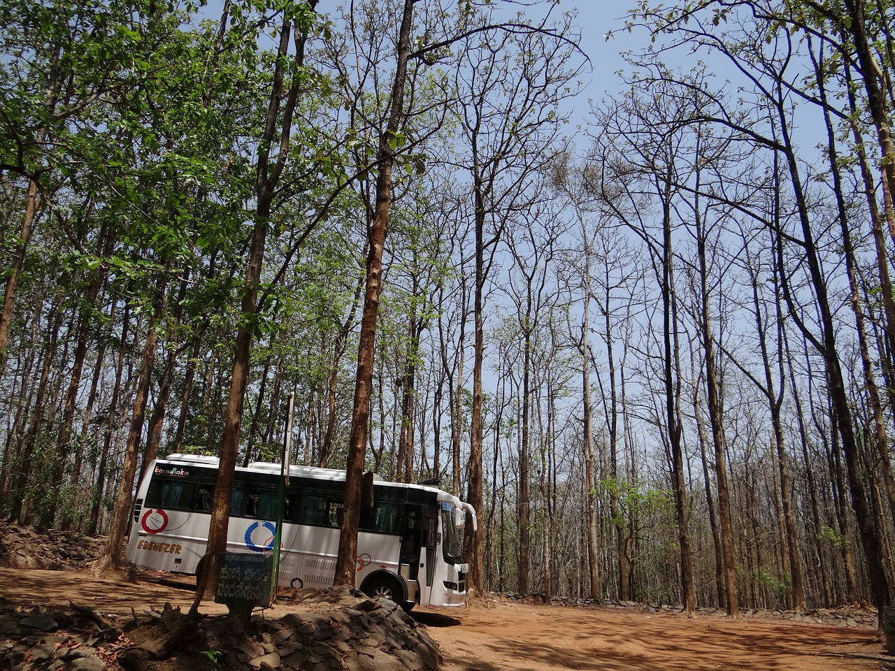 Autobusas, Autobusu, Treneris, Tikmedžio Miškai, Karnataka, Indija, Laukiniai, Kelionė, Nemokamos Nuotraukos,  Nemokama Licenzija
